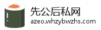 先公后私网